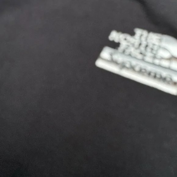 Supreme x The North Face Metallic Logo Hooded Sweatshirt (NF0A3RTSFN4)size Small